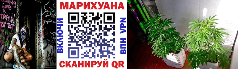 Бошки Шишки ГИДРОПОН  Купить  Ессентукская 
